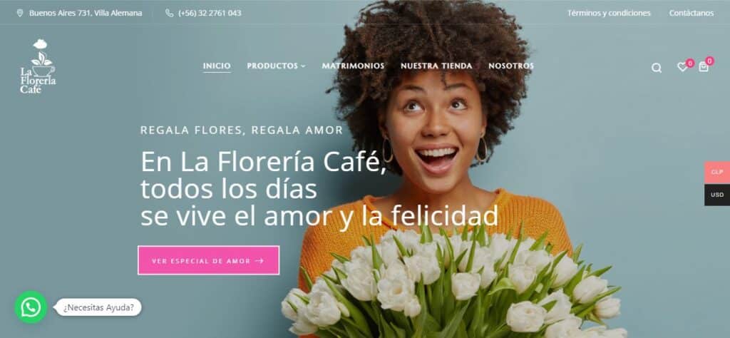 LA FLORERÍA CAFÉ diseño web villa alemana