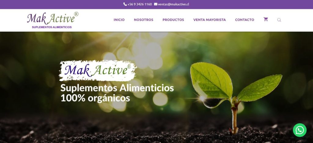 MAK ACTIVE diseño web viña del mar