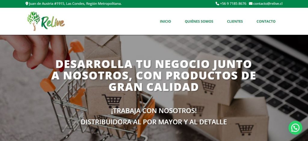 RELIVE diseño web en santiago