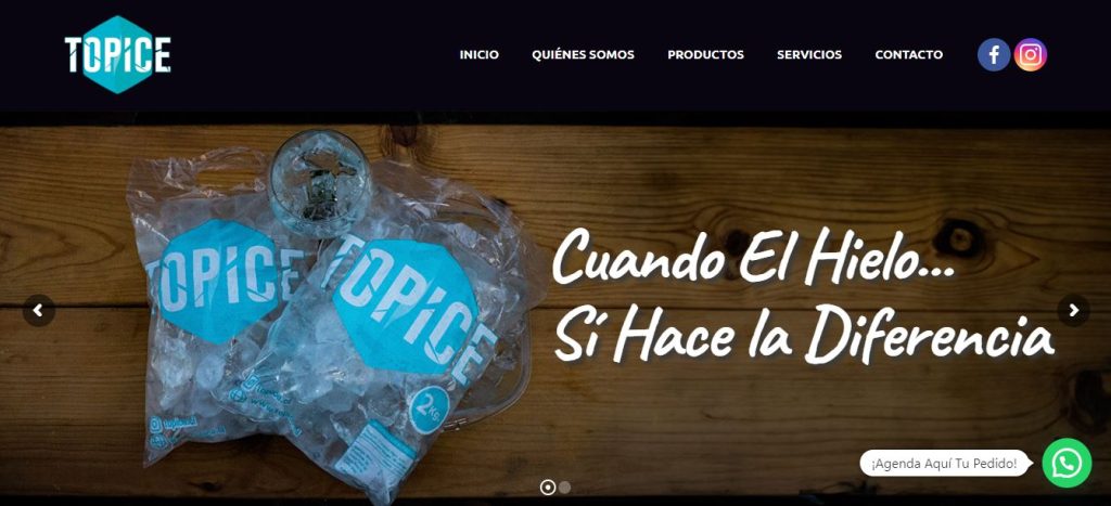 TOP ICE diseño web en santiago