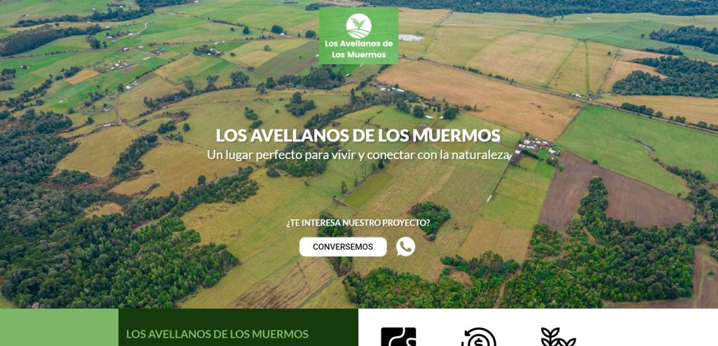 PROYECTO LOS AVELLANOS diseño web en santiago