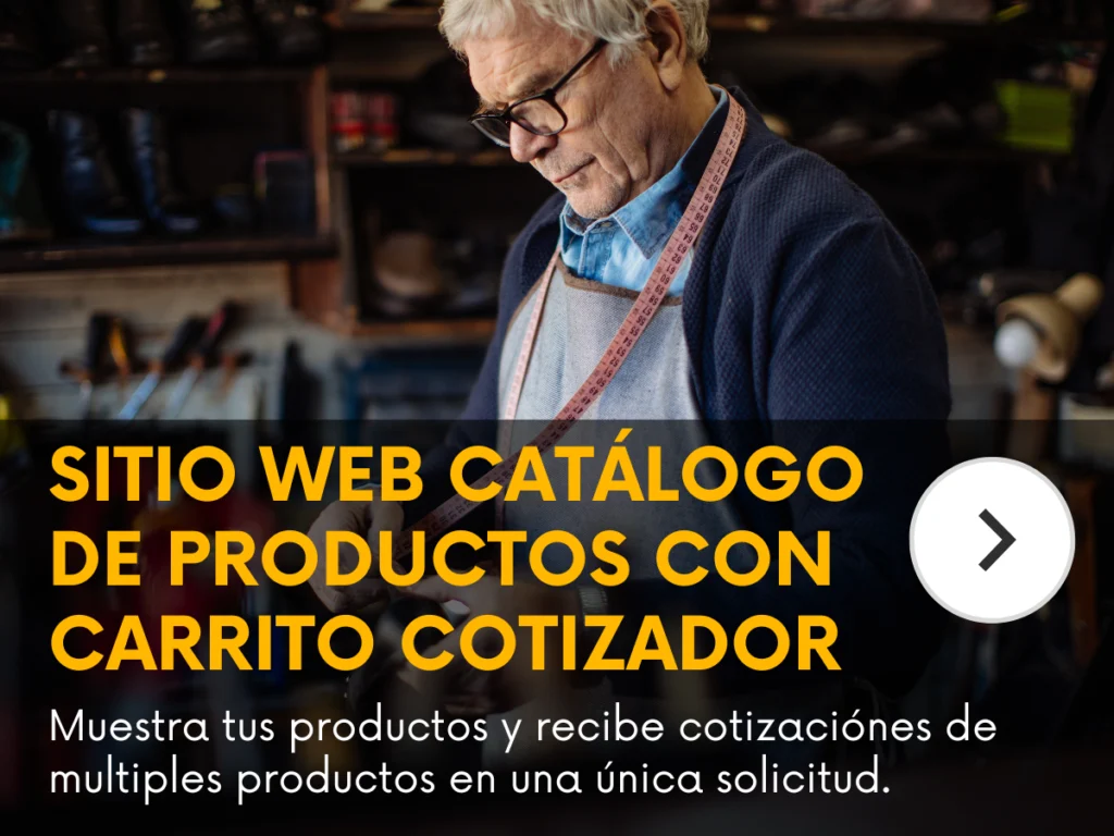diseño y desarrollo de tiendas online y catálogos en chile