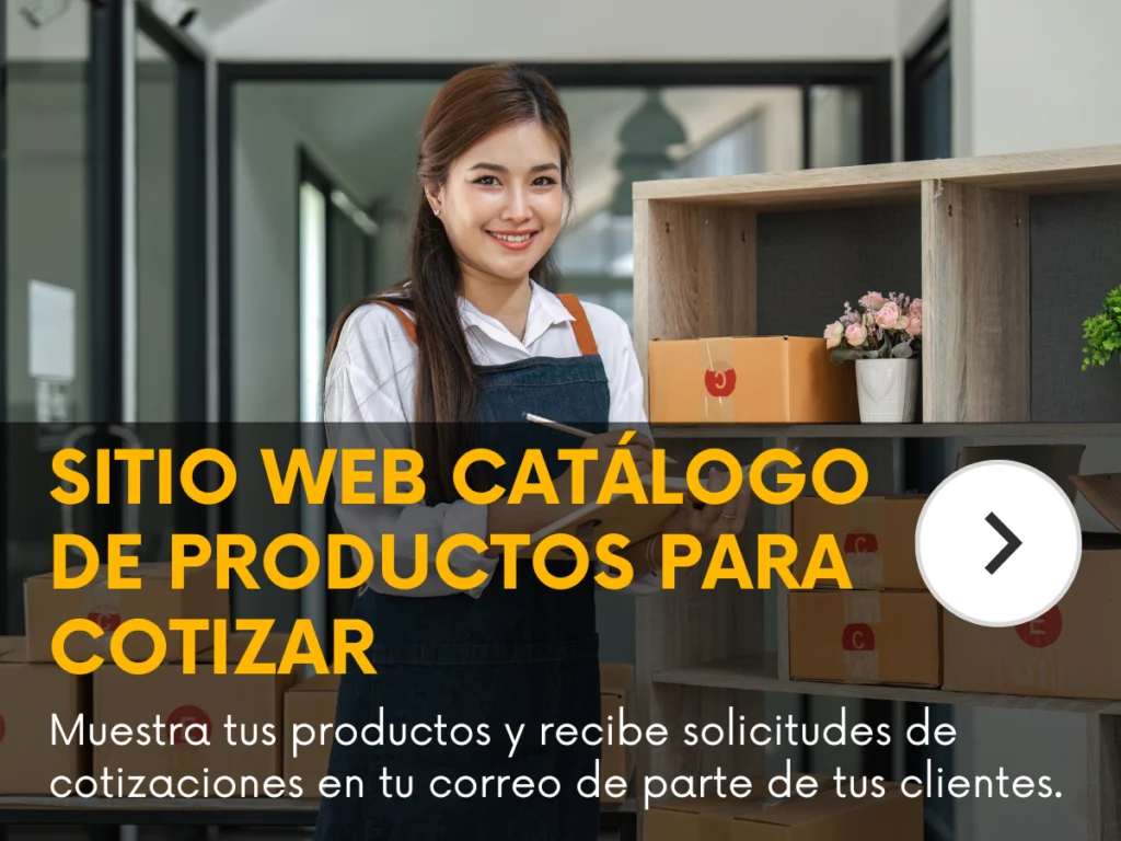 diseño y desarrollo de tiendas online y catálogos en chile